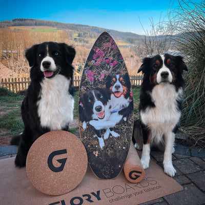Warum ein Balance Board das beste Weihnachtsgeschenk ist