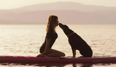 Stand Up Paddling mit Hund: Darauf musst du achten!